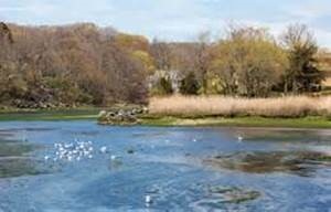 Photo of Saugatuck River