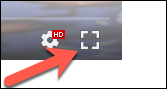 Video Enlarge Button