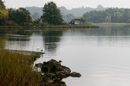 Sherwood Mill Pond Preserve