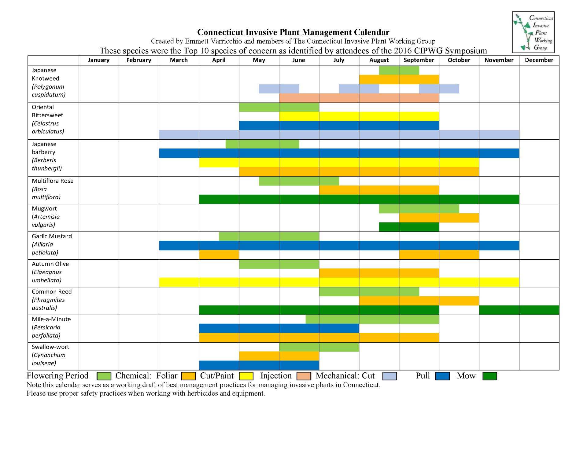 Invasive Plant Removal Timeline